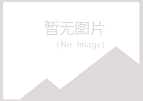 陕西夏岚采矿有限公司